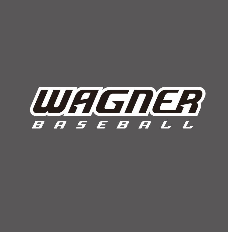 Wagner Seahawks Baseball Logo diy iron on heat transfer